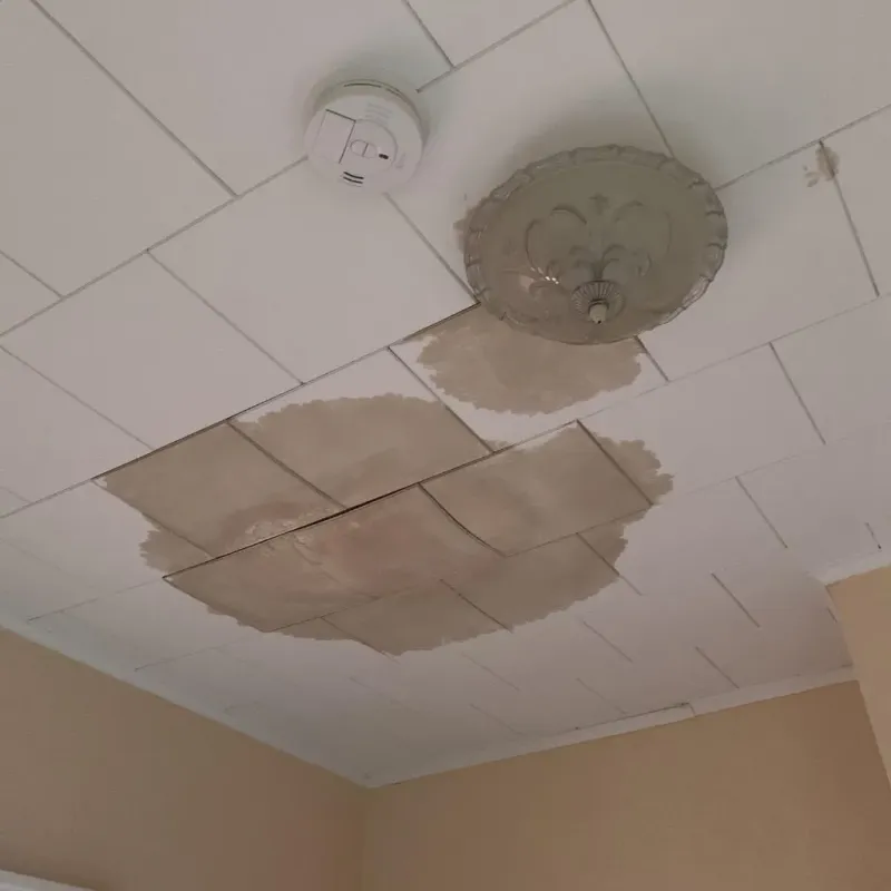 Ceiling Water Damage Repair in Stinnett, TX