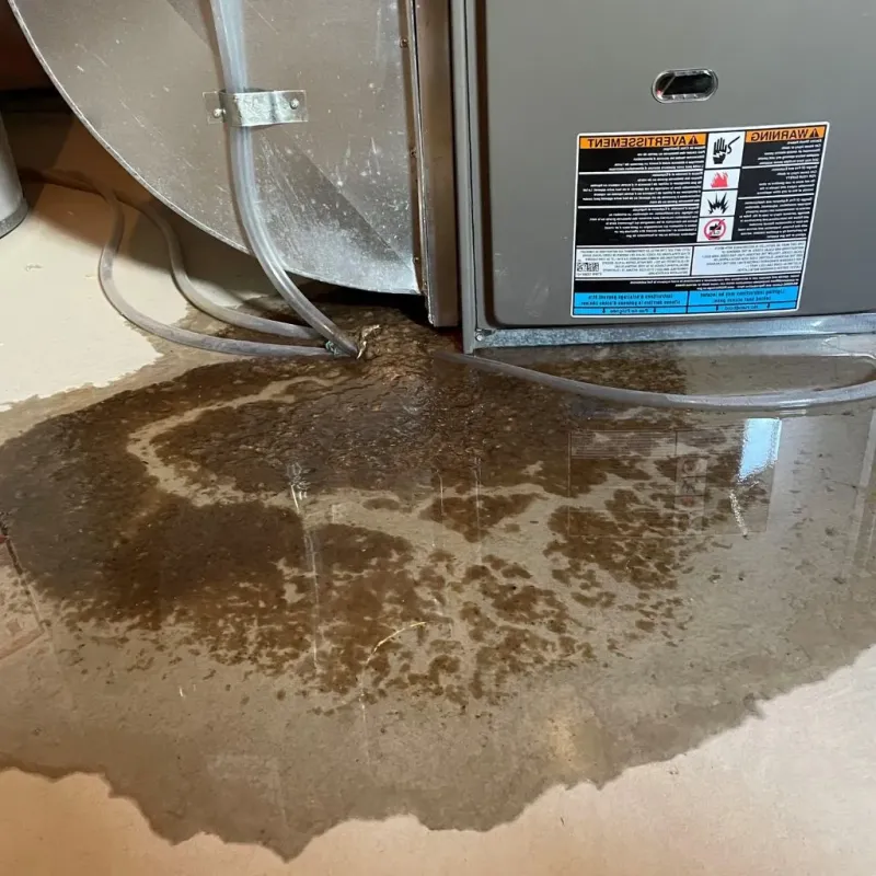 Pipe Burst and Leak Restoration in Stinnett, TX