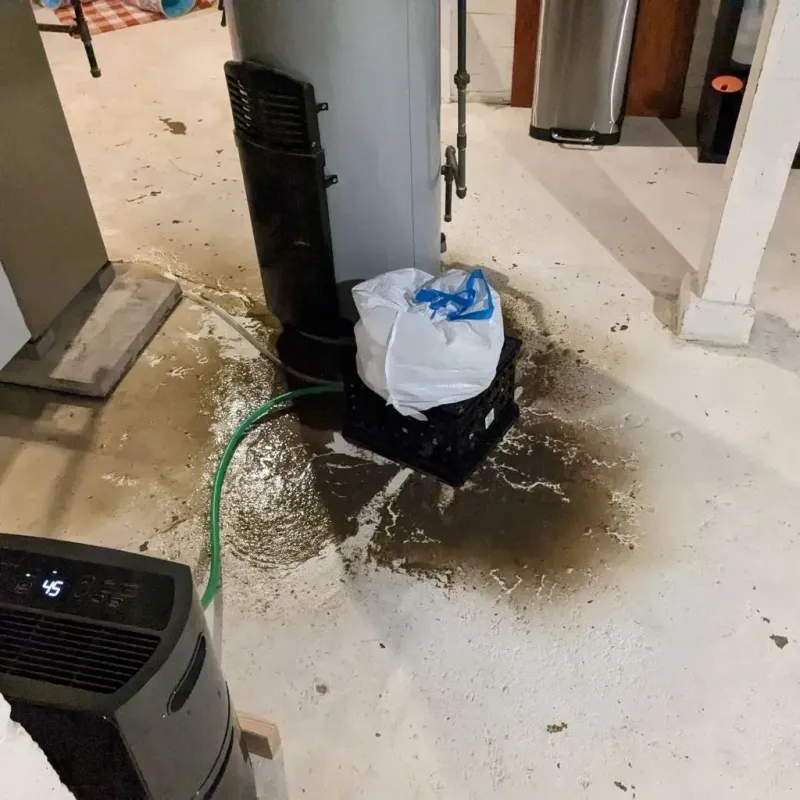 Sewage Backup Cleanup Service in Stinnett, TX